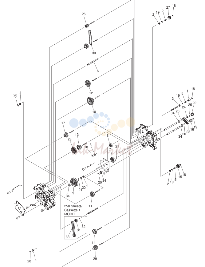 21. FIGURE 250A