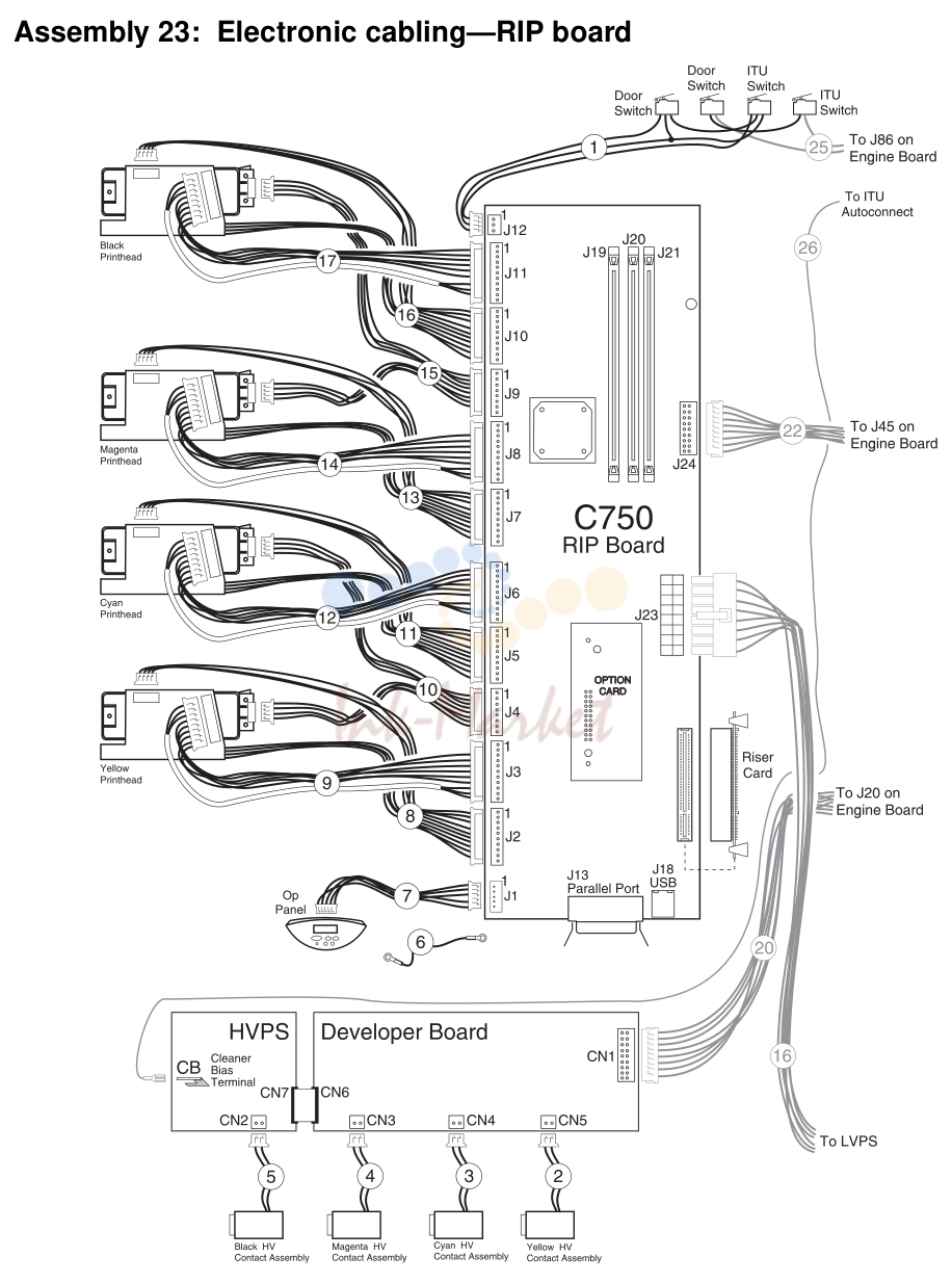 18. Assembly 23: Electronic cabling-RIP board