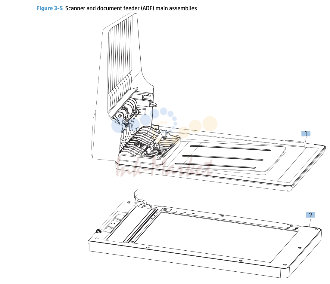 10. Scanner and document feeder (ADF)
