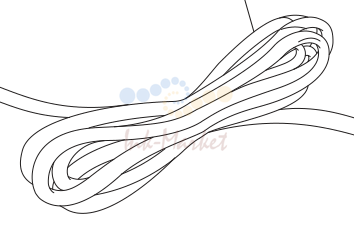 Ac cord (P13)