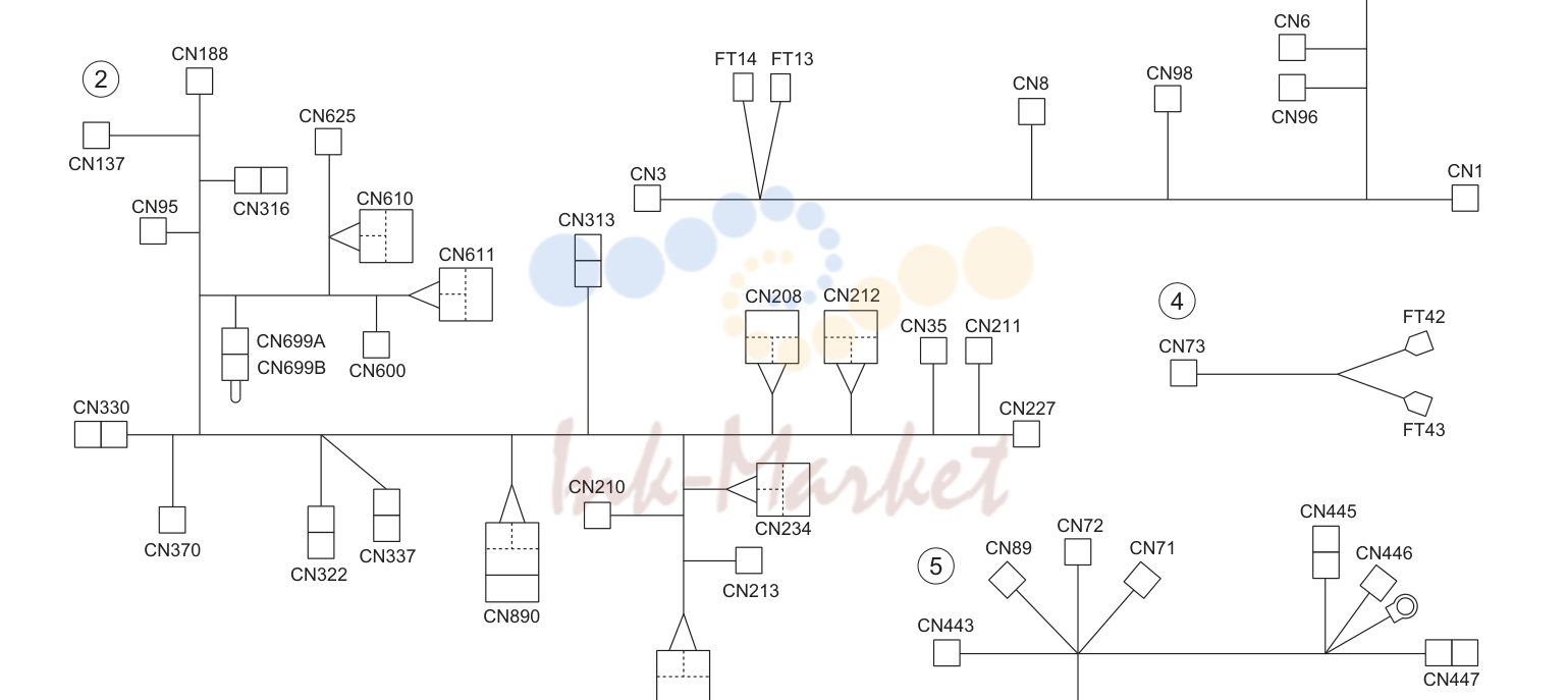 Wiring (P70)