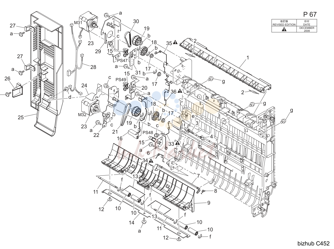 Adu (P67)