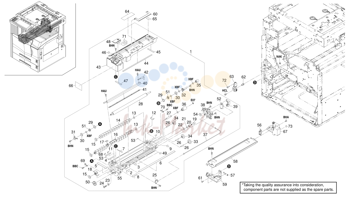 13. DEVELOPING SECTION 2DF