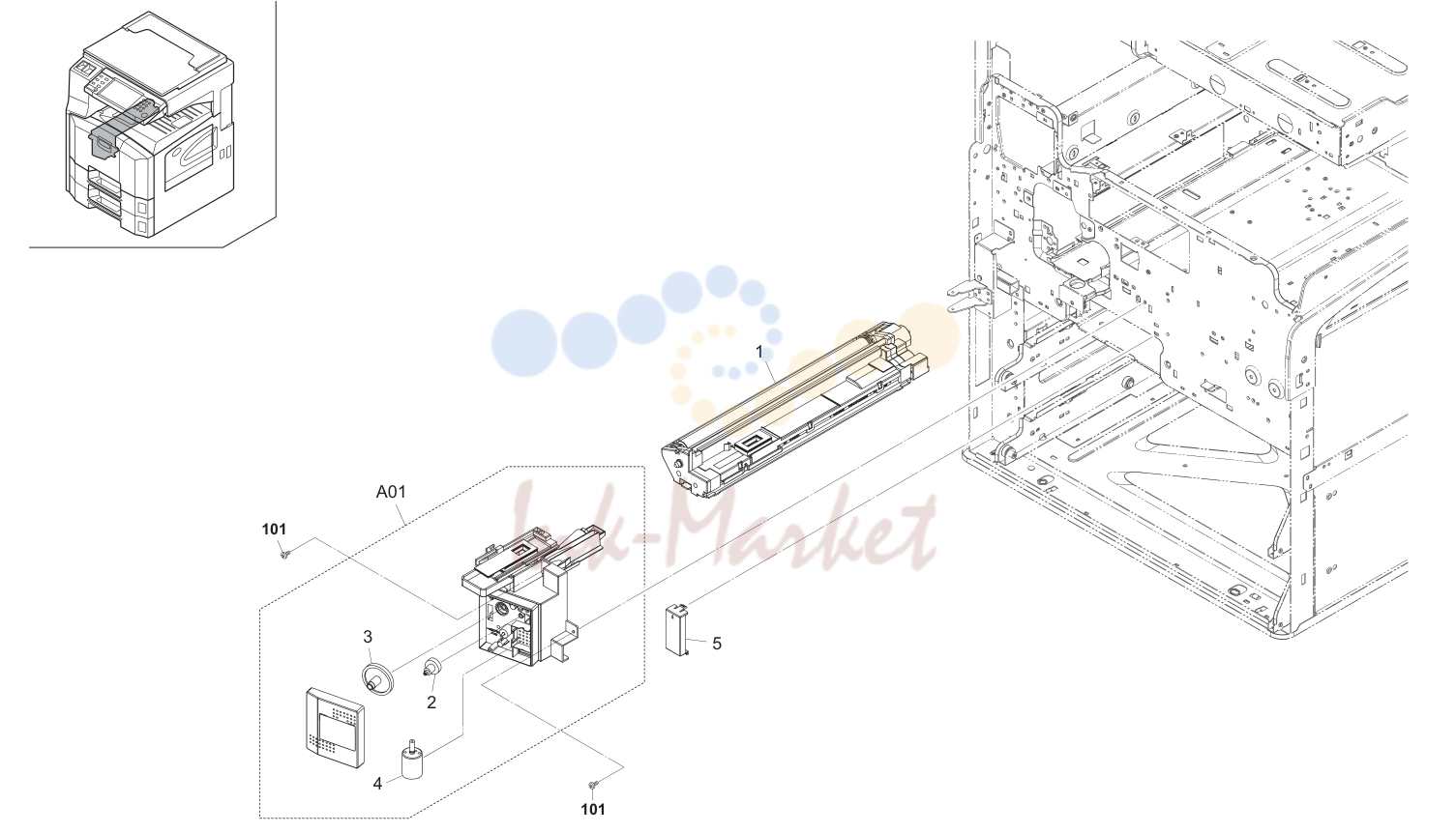 13. Developing Section