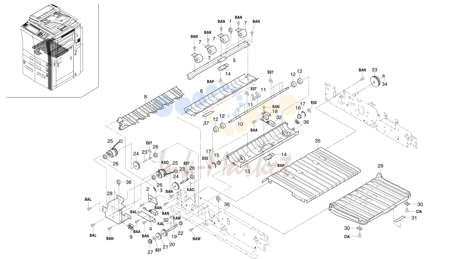 24. DUPLEX SECTION II