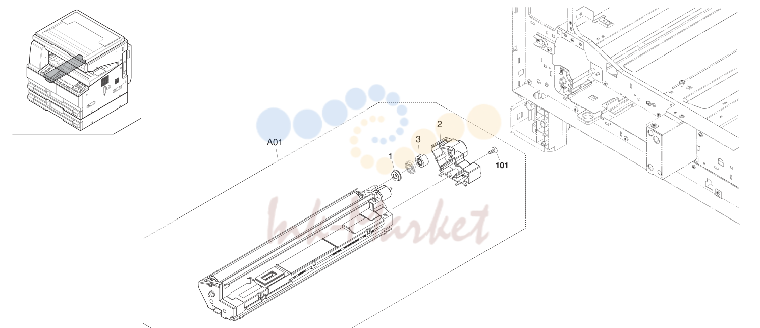 13. Developing Section
