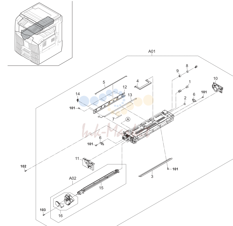 17. Image Formation Section