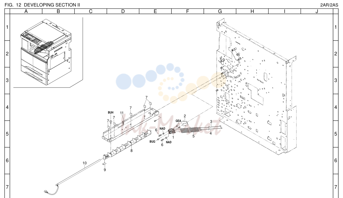 12. DEVELOPING SECTION II