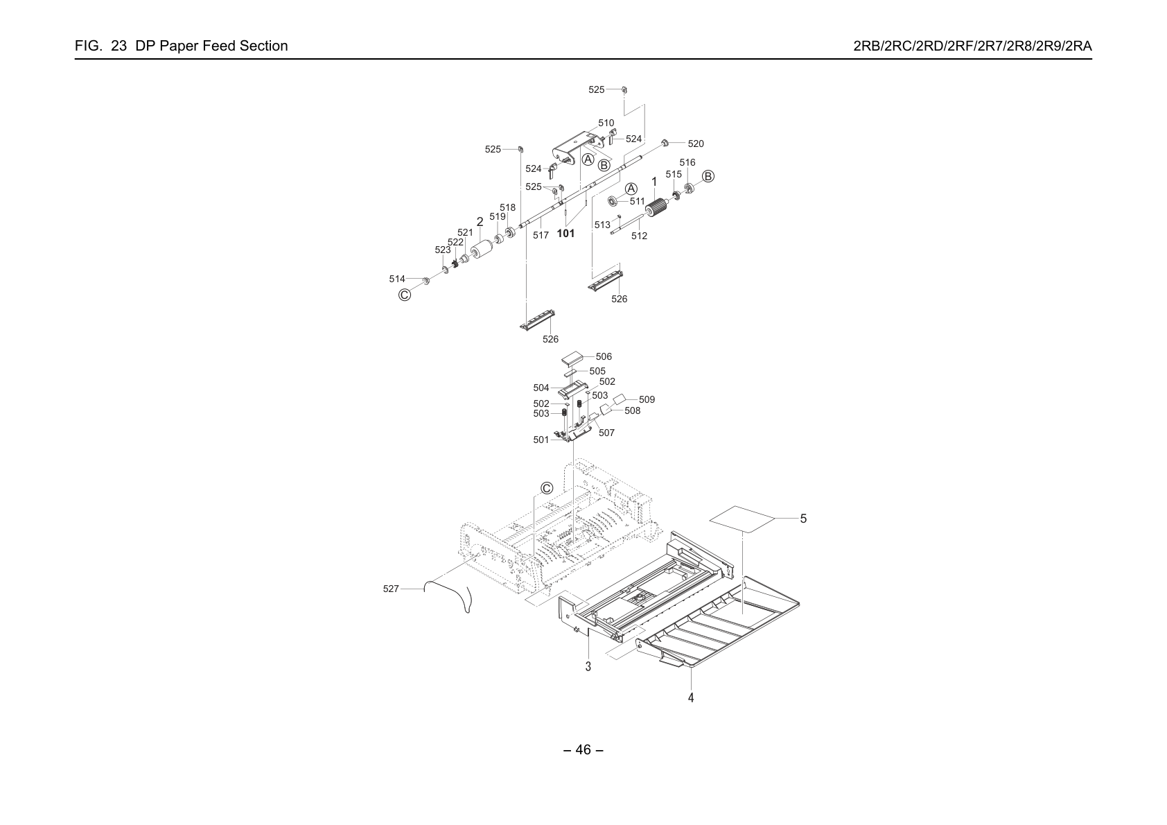DP Paper Feed Section