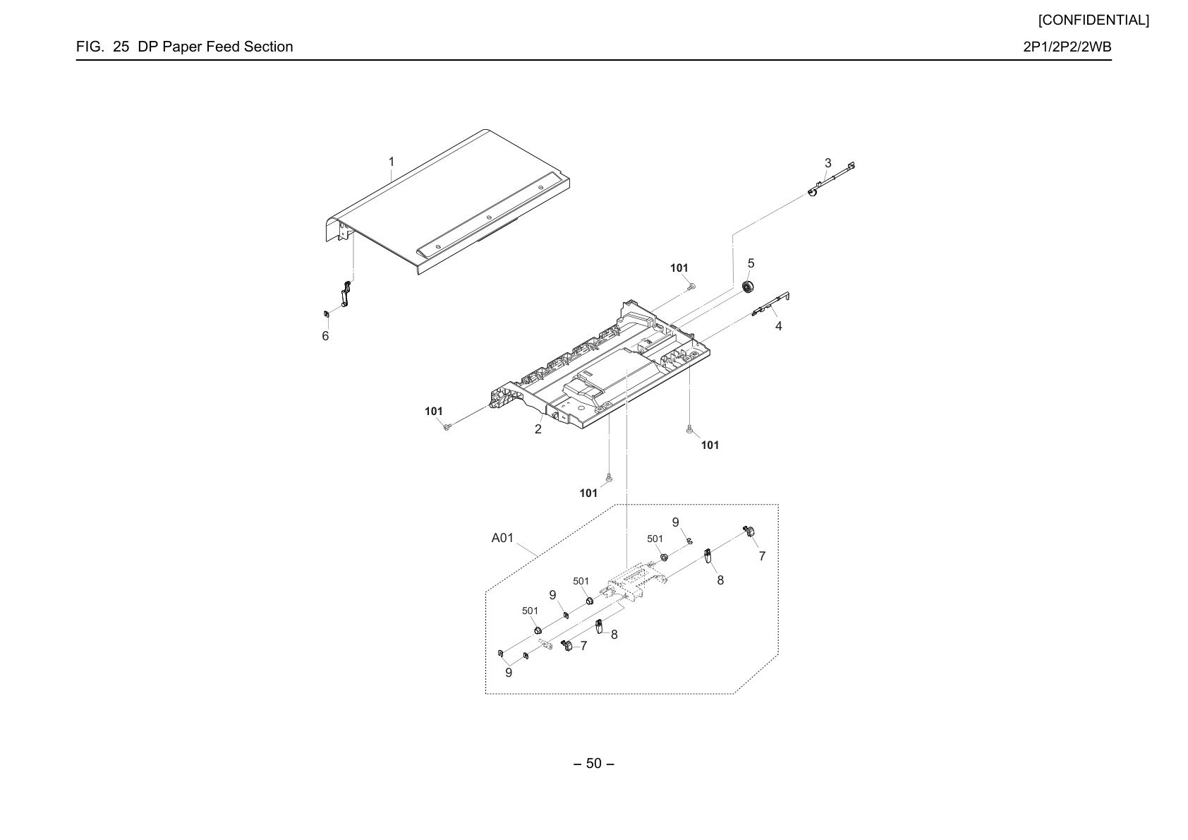 DP Paper Feed Section