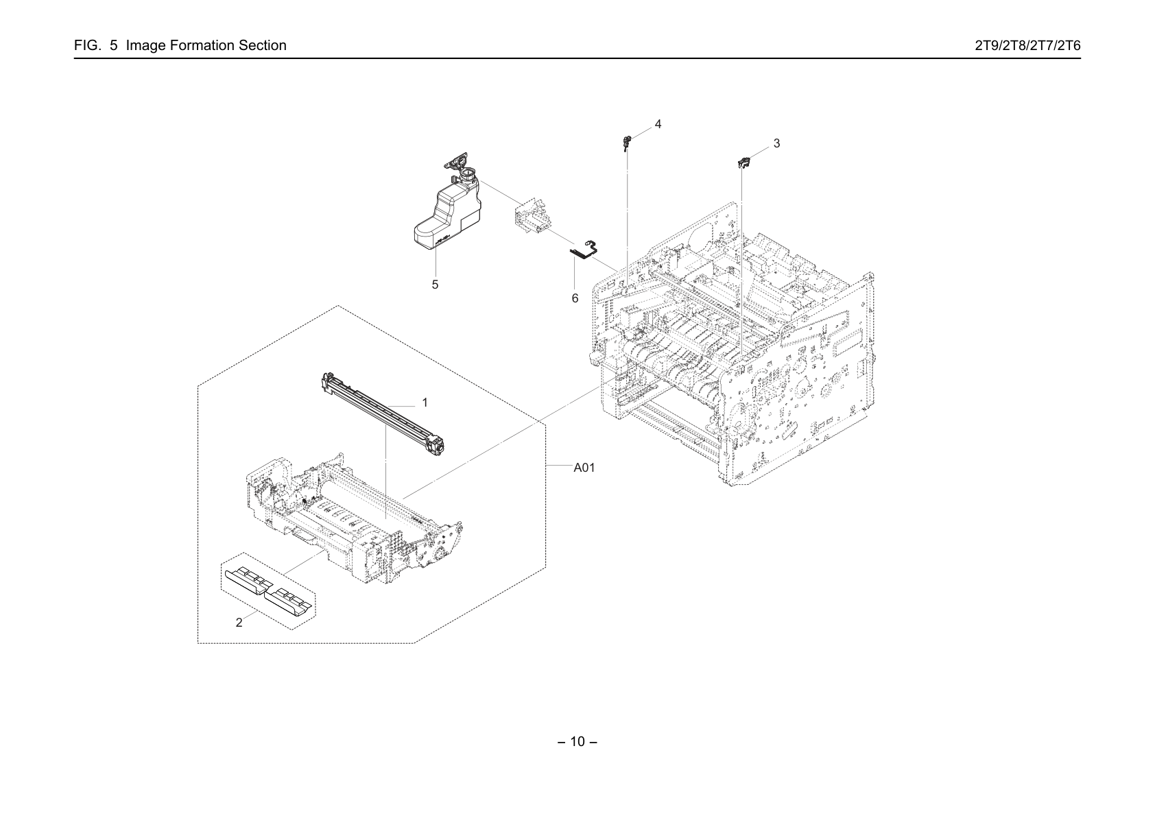 Image Formation Section