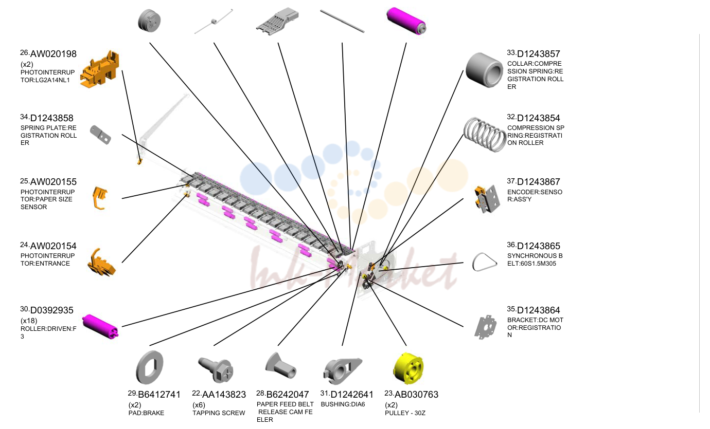 PAPER TRANSPORT