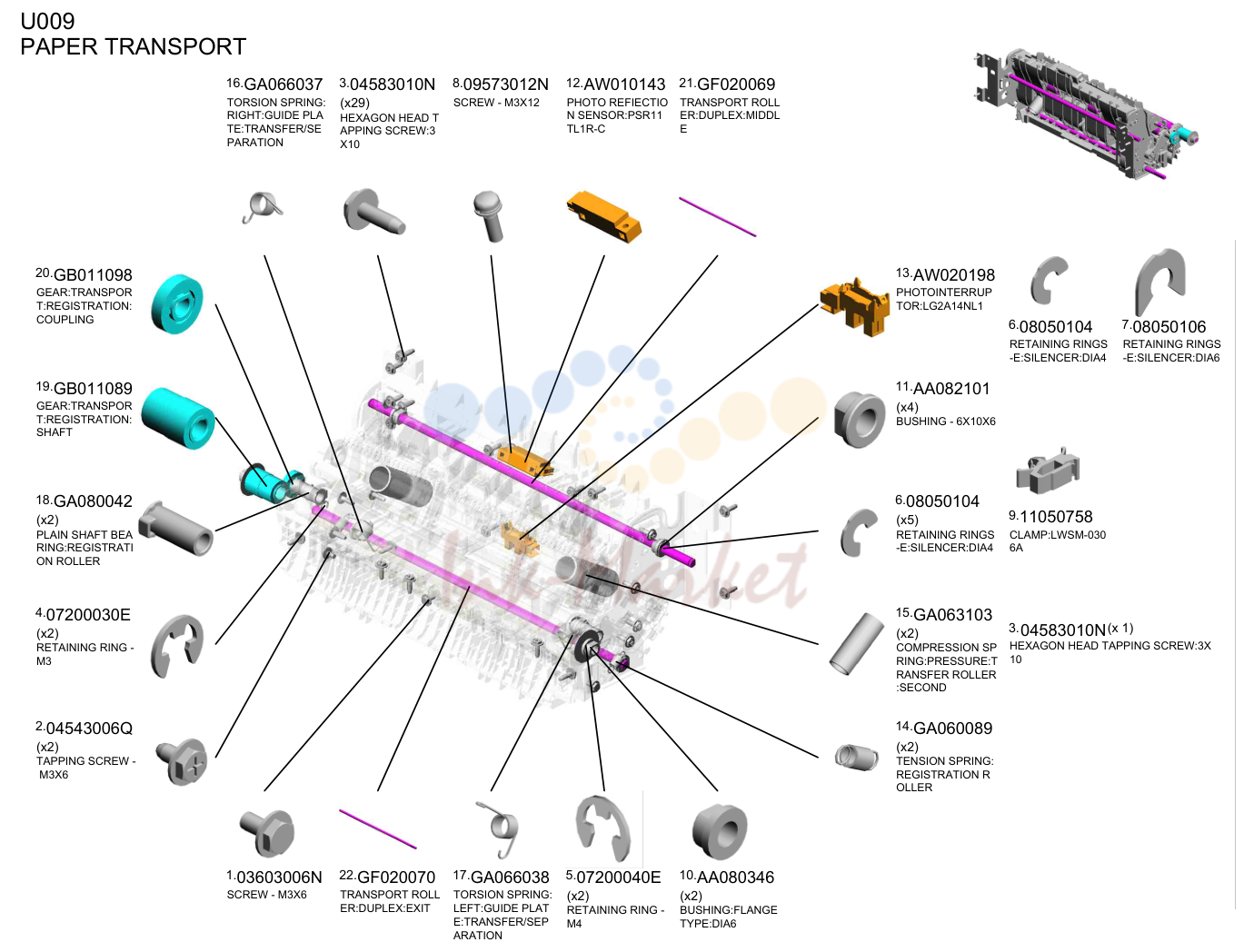 PAPER TRANSPORT