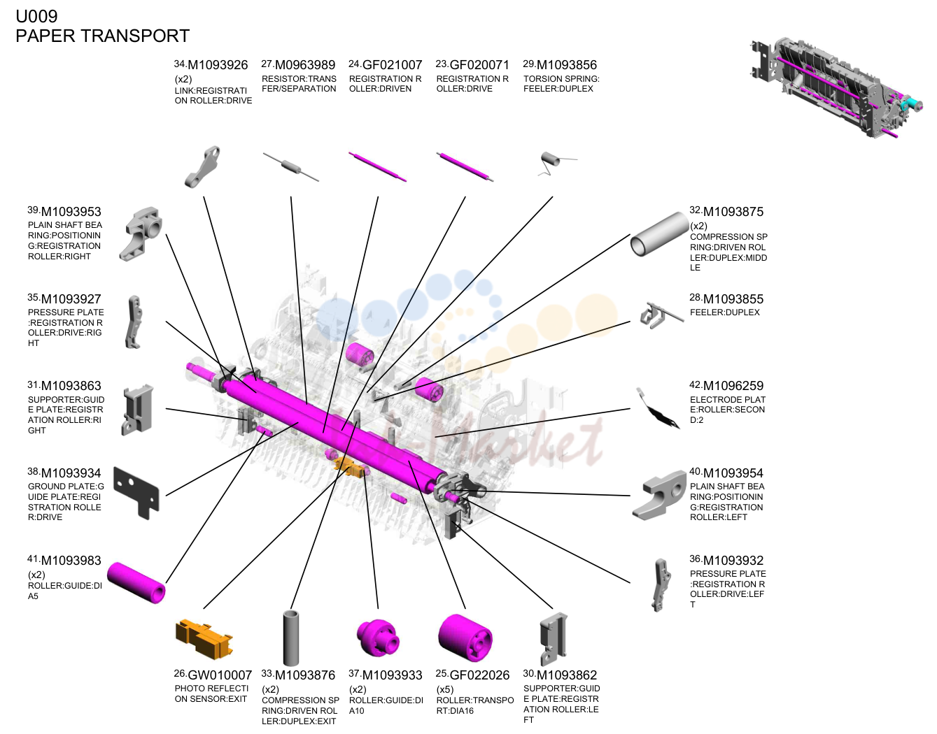 PAPER TRANSPORT