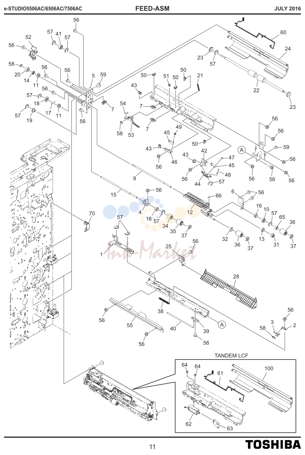 FEED-ASM