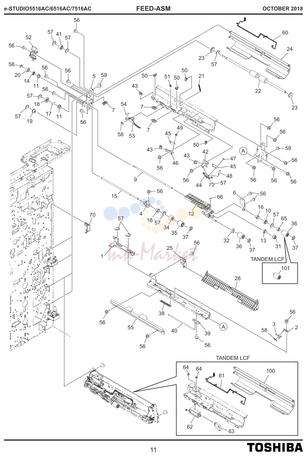 FEED-ASM