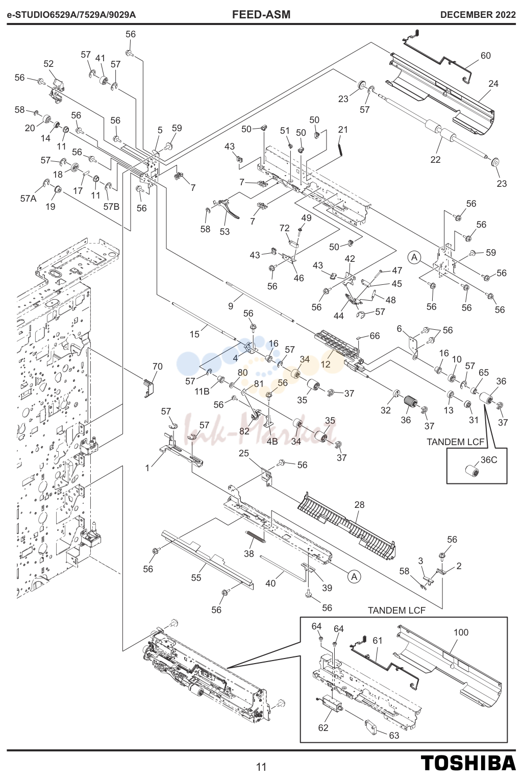 FEED-ASM